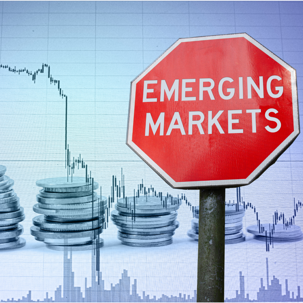 貝 萊 德 新興 市場 債券 基金 (99) 사진