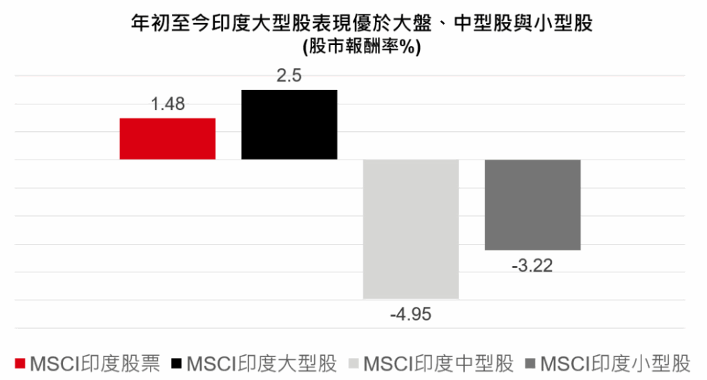 印度 大型股